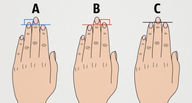 Що довжина пальців руки говорить про ваш характер
