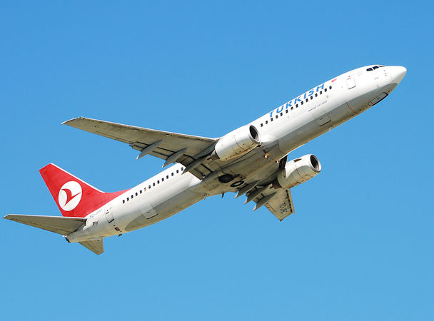 Птах зім'яв ніс «Боїнгу» компанії Turkish Airlines