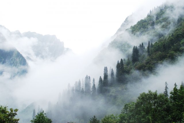 Дивовижне видовище: туманопад в горах (відео)