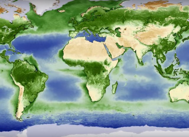Як змінюється зелене покривало Землі протягом року (відео)