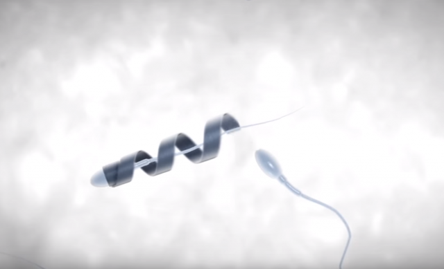 Спермобот: двигун для сперматозоїдів (відео)