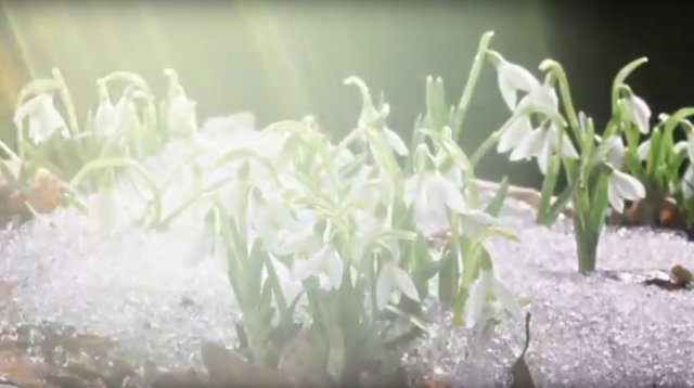 «Ті, що падають вгору» презентують нове відео на пісню «Зима» (відео)