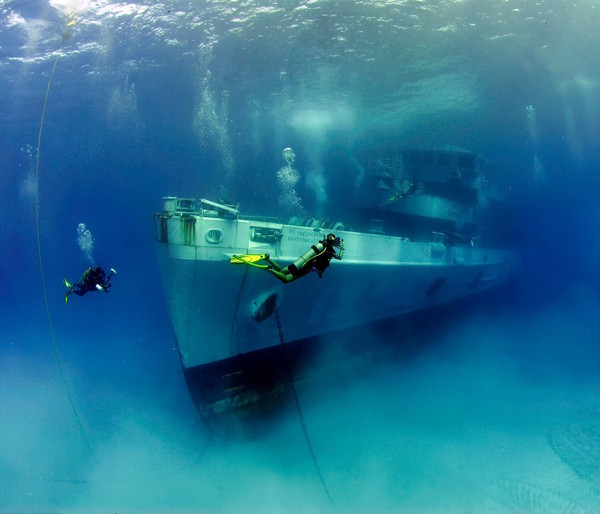 Гарні і незвичайні речі, які можна зустріти під водою (фото)