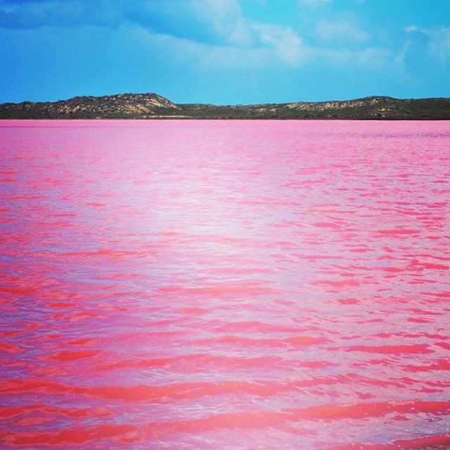 Як було розгадано загадку рожевого озера? (відео)