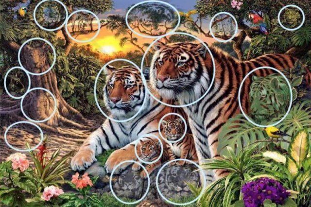 Скільки тигрів на малюнку?
