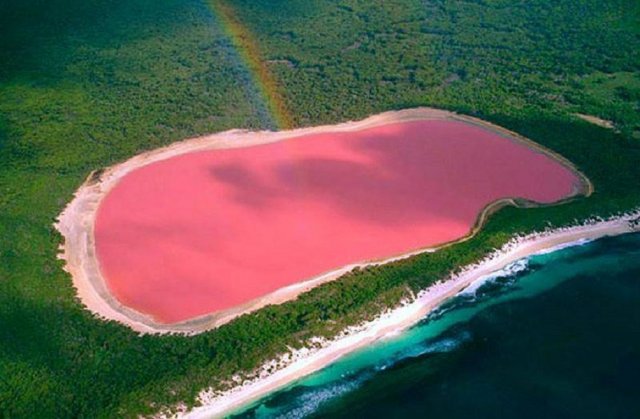 Як було розгадано загадку рожевого озера? (відео)