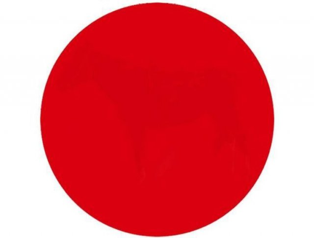 Тест на зір: що ви бачите всередині цього червоного круга?