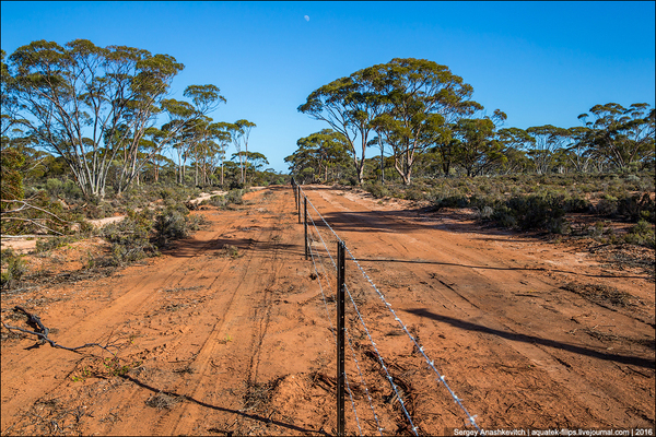 Великий австралійський паркан (фото)