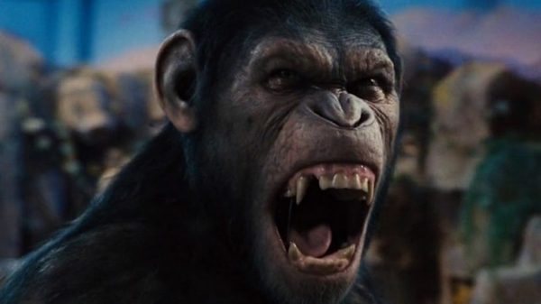 Як звучала б мова мавп, якби вони раптом заговорили? (відео)