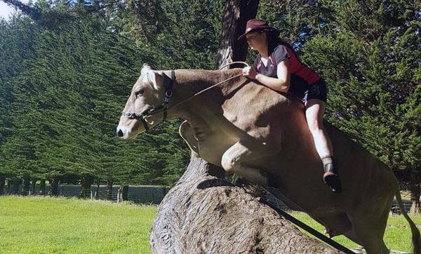 Новозеландська дівчина на спір навчила корову спортивної верхової їзди