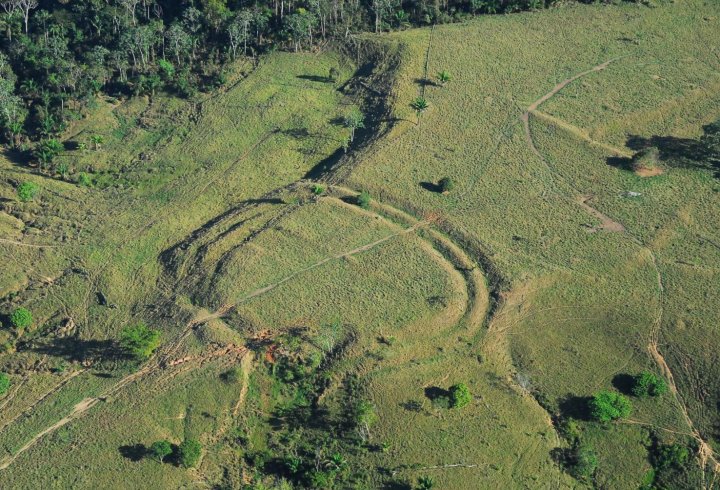 Гігантські геогліфи знайдені в джунглях Амазонії