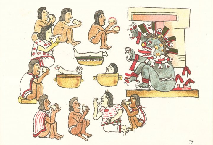 Як іспанці знищили цивілізацію ацтеків: нова версія - бактеріологічна зброя