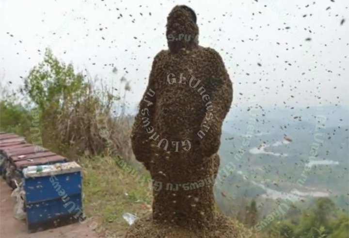 Китаєць заради реклами покрив себе «ковдрою» з 460 тисяч бджіл (відео)