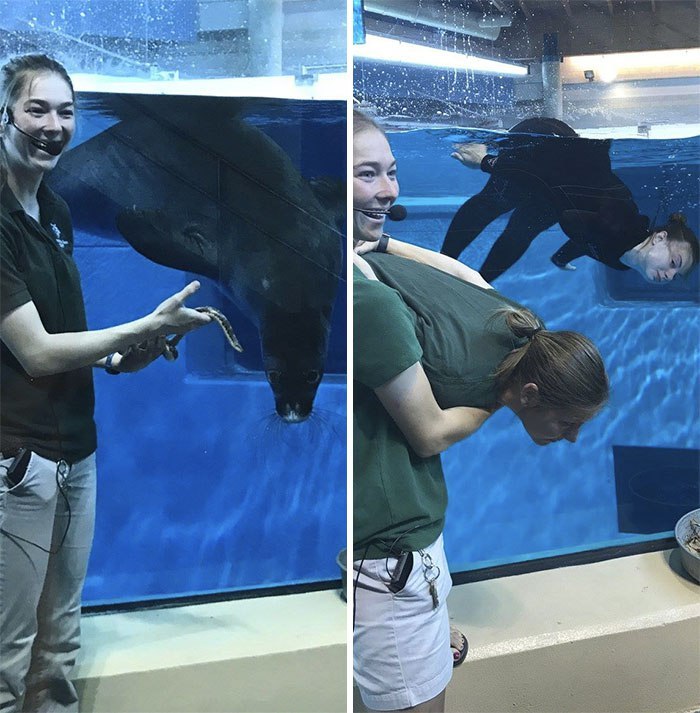 Працівники зоопарку імітують поведінку тварин, щоб залучити більше відвідувачів (фото)