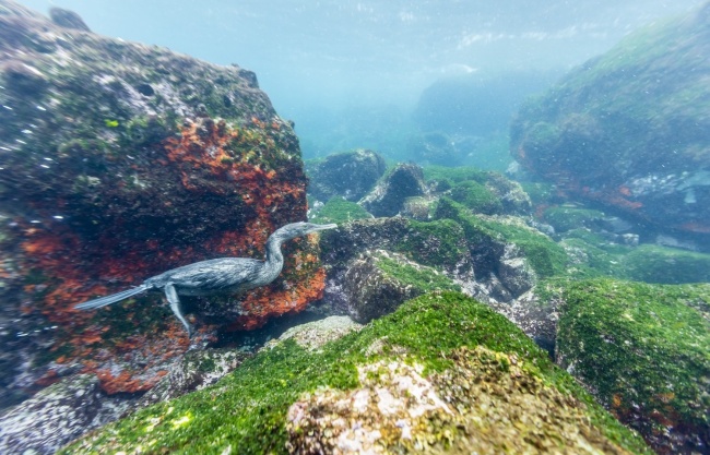 Вчені виявили підземний океан з величезним сховищем води