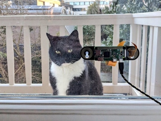 Голландський інженер розробив систему розпізнавання морди свого кота, щоб пускати його додому