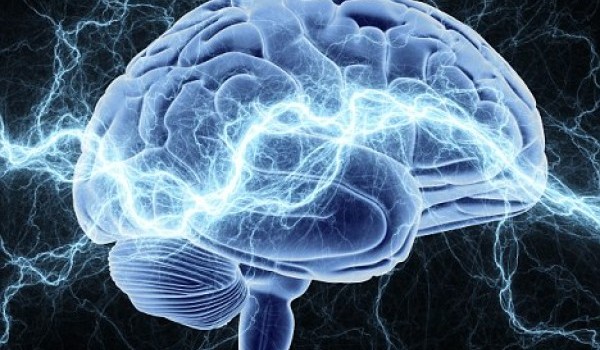 5 фактів про мозок, які пояснюють нашу дивну поведінку