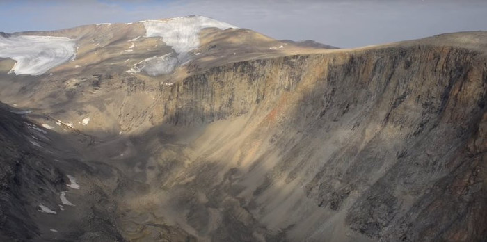 В Арктиці відтанули рослини, що замерзли 40 тисяч років тому (фото, відео)