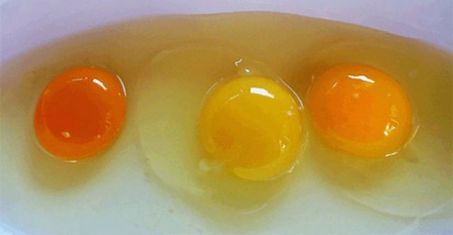 Не всі яйця однаково корисні