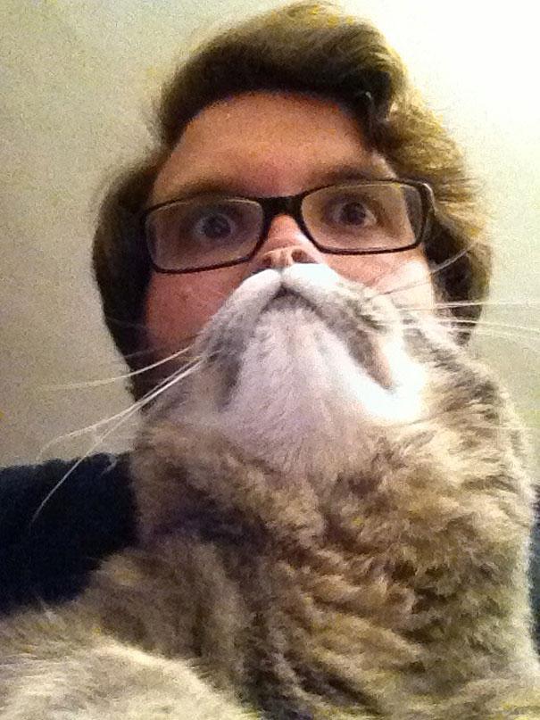 Борода з кота - нова інтернет розвага (фото)
