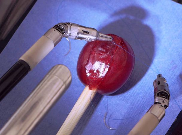 Робот-хірург зашив виноградину (відео)