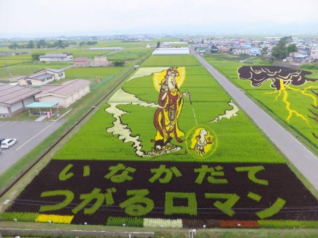 Художні рисові поля Японії (фото)