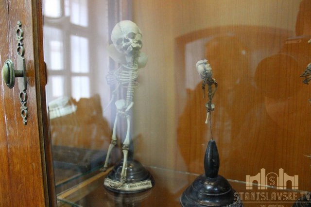 У Франківську відкрили Анатомічний музей - муміфіковані тіла, скелети та органи (фото)