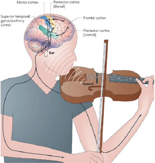 8 фактів про вплив музики на роботу головного мозку