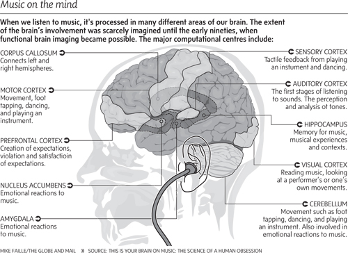 8 фактів про вплив музики на роботу головного мозку