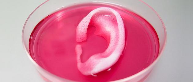 Біотехнологи вперше надрукували живими клітинами вухо на 3D-принтері