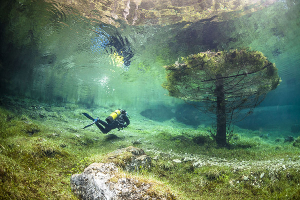 Гарні і незвичайні речі, які можна зустріти під водою (фото)
