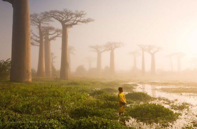 20 кращих фотографій 2015 року за версією National Geographic