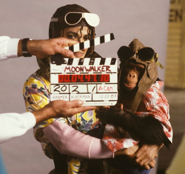 Про шимпанзе Майкла Джексона знімуть фільм