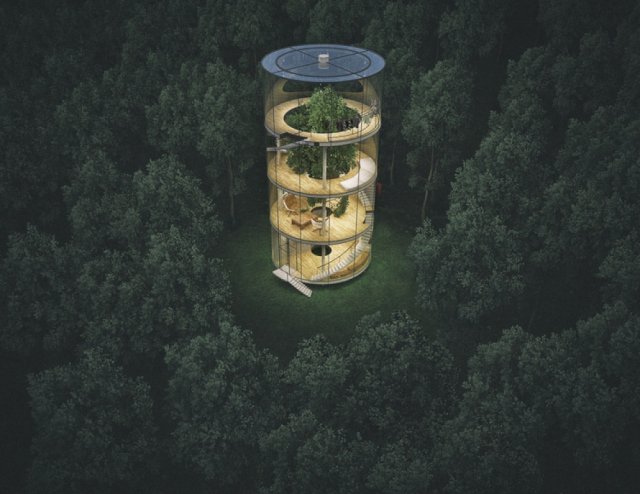 Скляний будинок навколо справжнього дерева (фото)