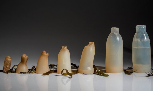 Студент винайшов екологічно чисті пляшки з водоростей