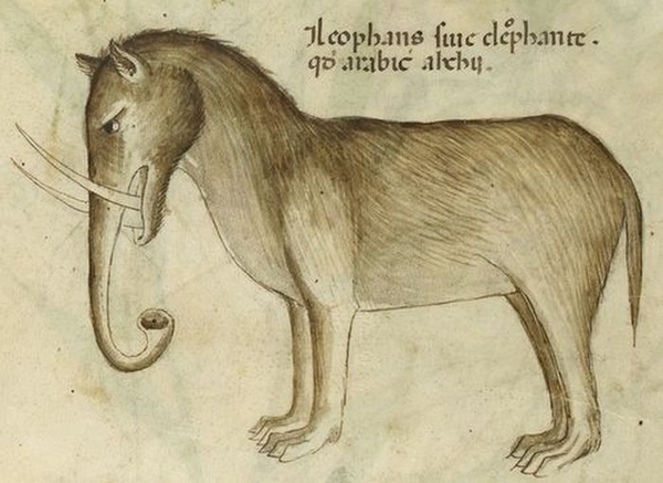 Як середньовічні художники уявляли слонів? (фото)