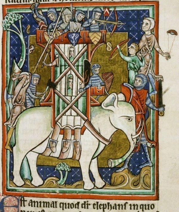 Як середньовічні художники уявляли слонів? (фото)