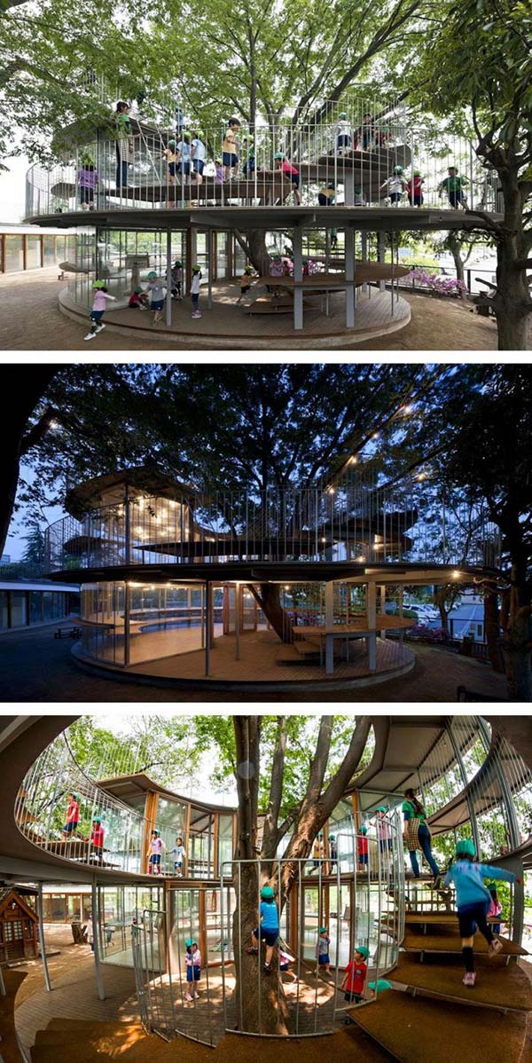 Дерева, які органічно вписалися в дизайн будинку (фото)