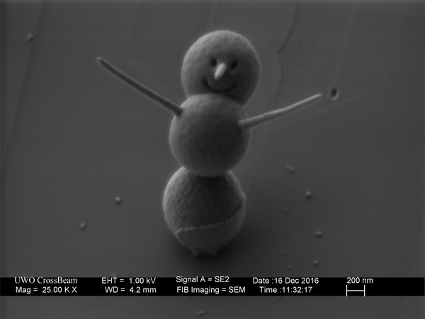 Найменший у світі сніговик розміром в 3 мікрони (фото)
