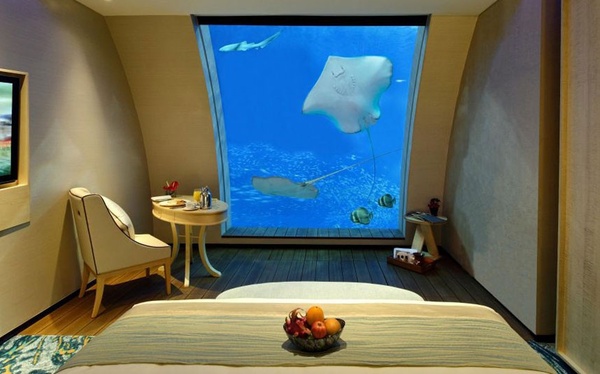 Готельні номери з виглядом на акваріум (фото)
