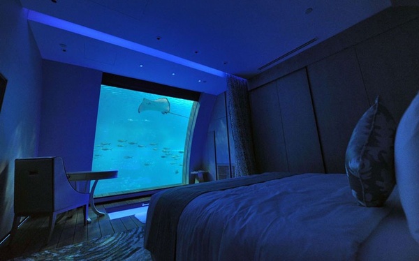 Готельні номери з виглядом на акваріум (фото)