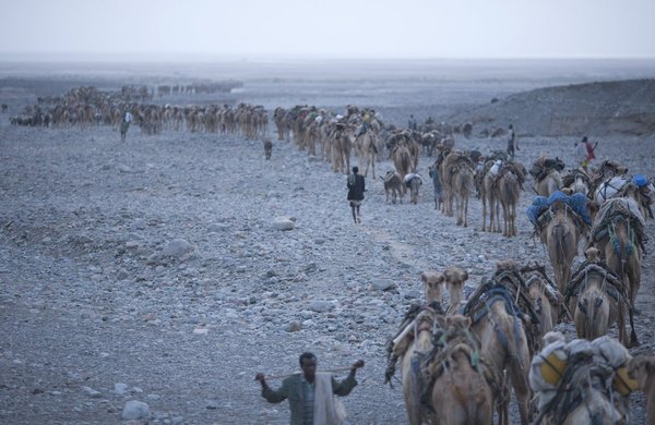 Данакільська соляна долина – найбезжалісніше місце планети (фото)
