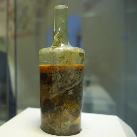 Найстаріша в світі пляшка вина (фото)