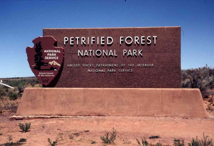 Петріфайд-Форест - скам'янілий ліс в Арізоні (фото)