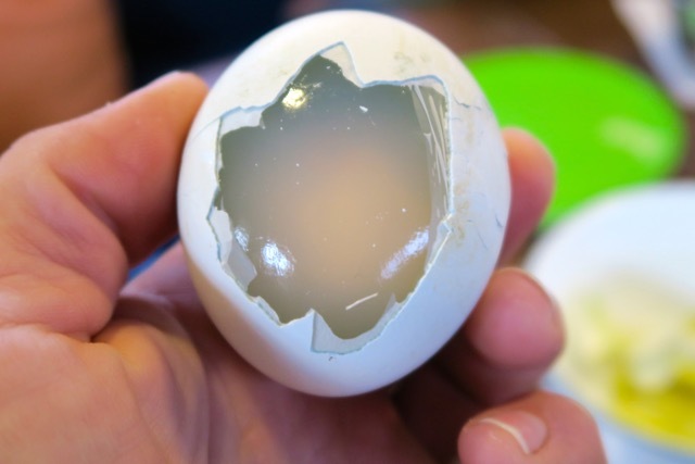 Варене яйце пінгвіна (фото)
