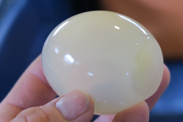 Варене яйце пінгвіна (фото)