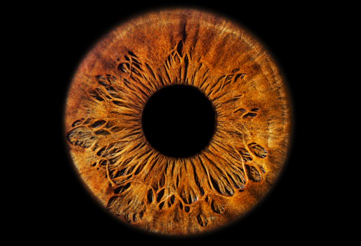 Краса людських очей (фото)