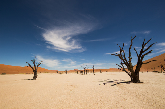 Мертва долина Намібії (фото)