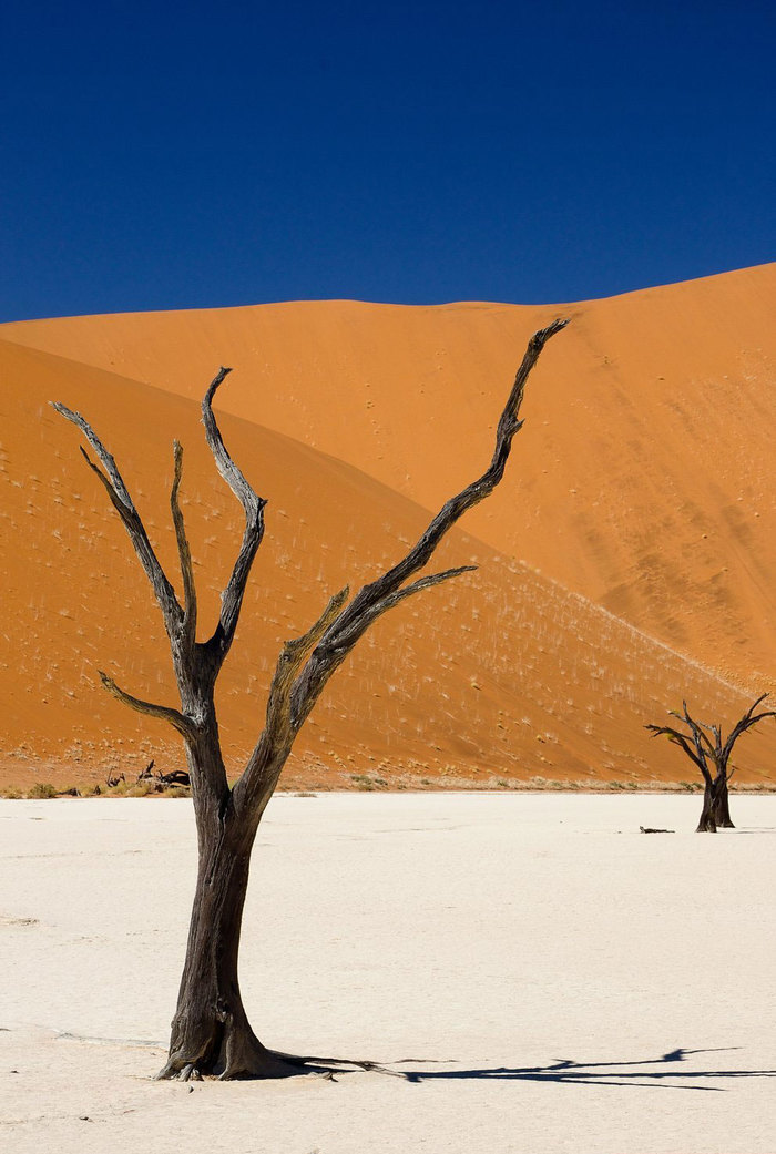 Мертва долина Намібії (фото)