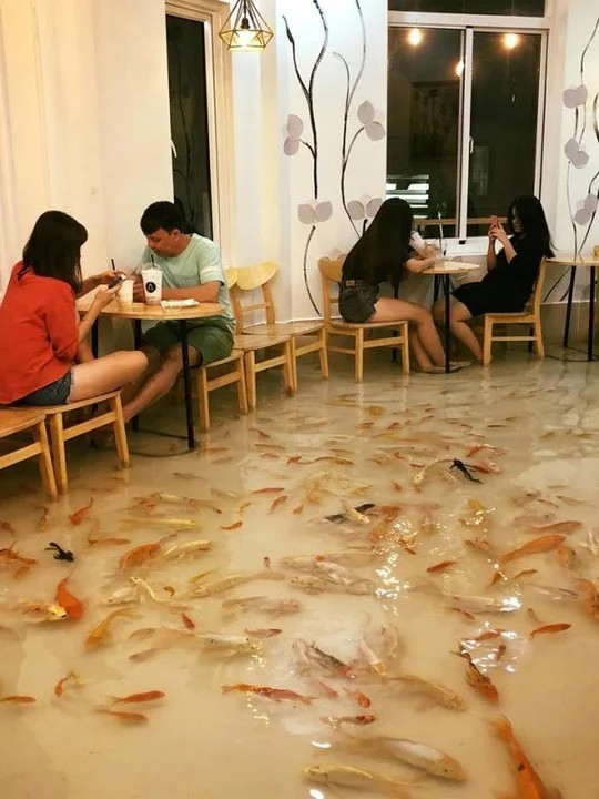 Ресторан з підлогою з живими рибами (фото, відео)